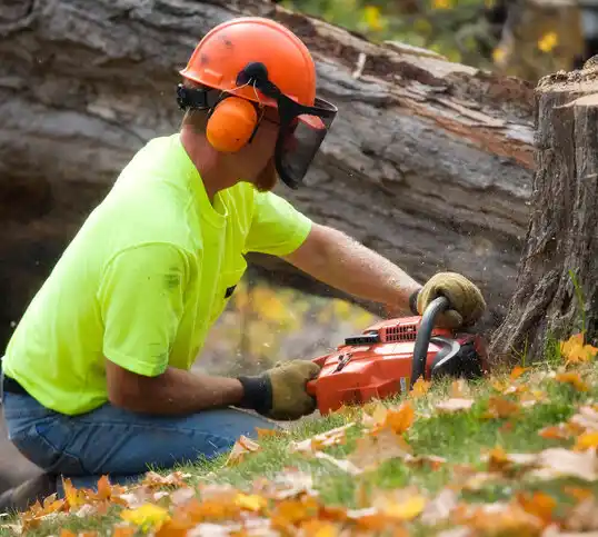 tree services Kiryas Joel